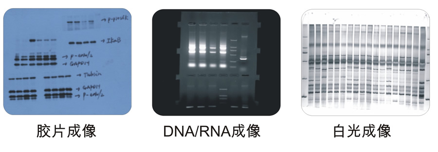 维多利亚老品牌JS-2000应用范围